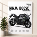 Ninja 1000SX Street Performance