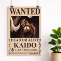 Kaido Wanted Poster