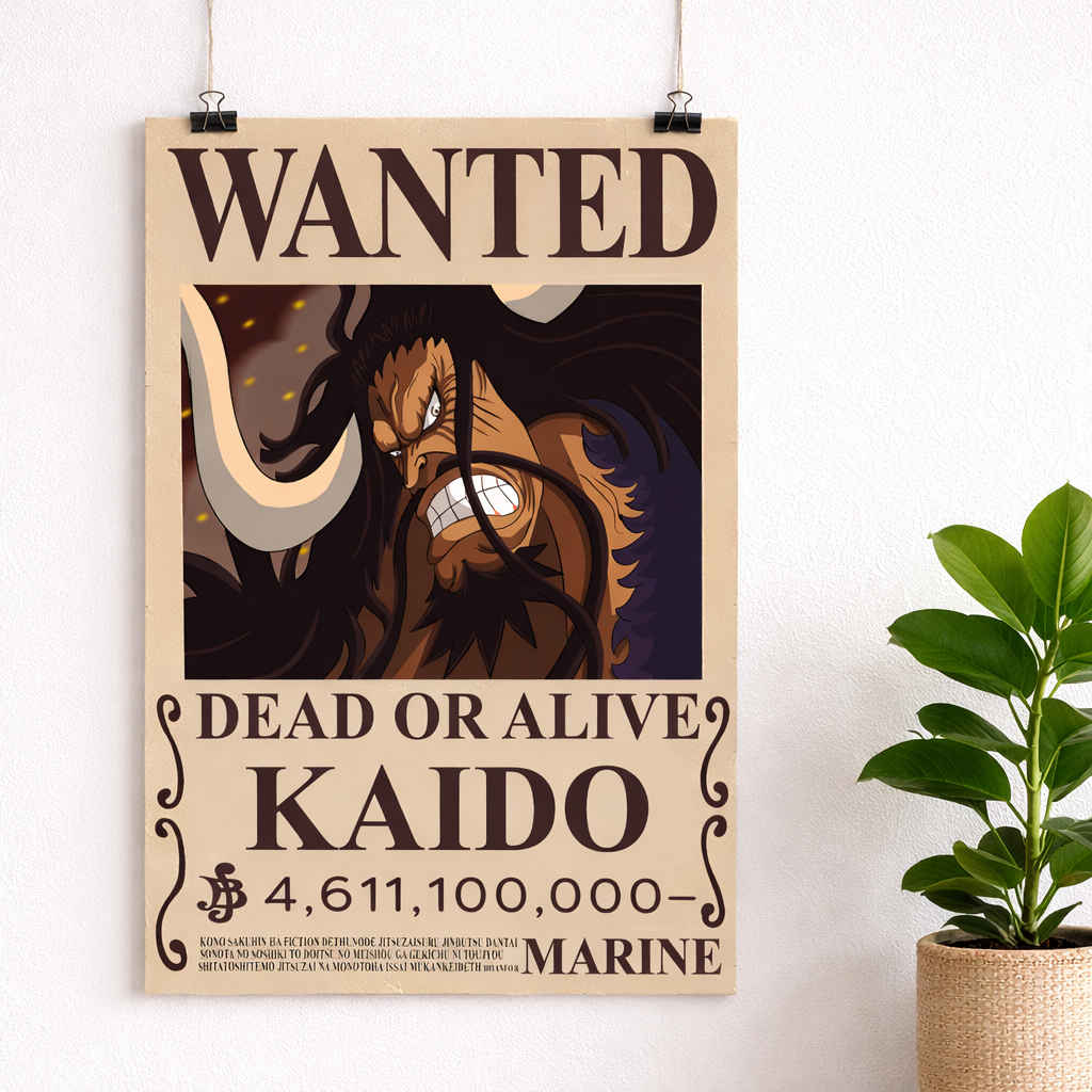 Kaido Wanted Poster
